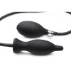 Inflatable Anal Plug