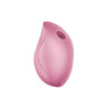 Delicia Air Pulse Vibrator Rose