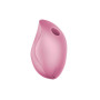 Delicia Air Pulse Vibrator Rose