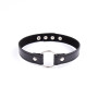 Collar with Hoop Adjustable 38,2 cm Black