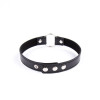 Collar with Hoop Adjustable 38,2 cm Black