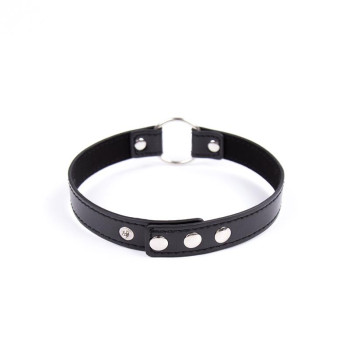 Collar with Hoop Adjustable 38,2 cm Black