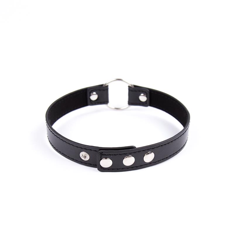 Collar with Hoop Adjustable 38,2 cm Black