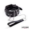 Padded Collar with Leash