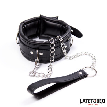 Padded Collar with Leash
