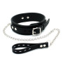 Collar with Leash Silicone