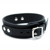 Collar with Leash Silicone