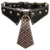 Rebellion Reign Collar with Chain