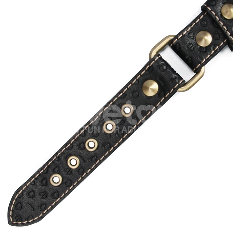 Rebellion Reign Collar with Chain