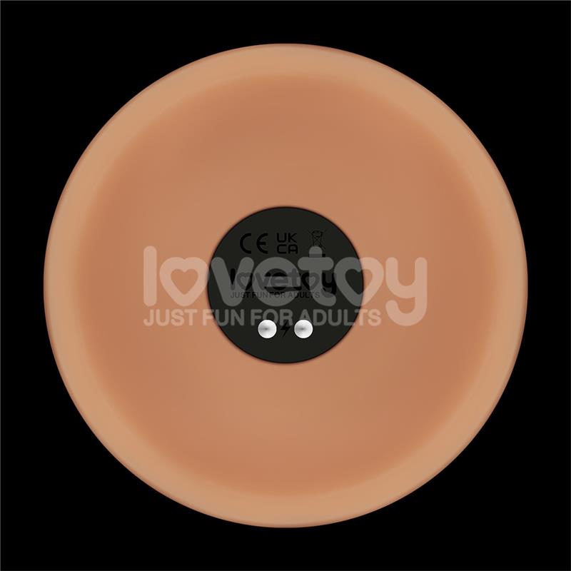 Power Basics Dildo with Vibration 10