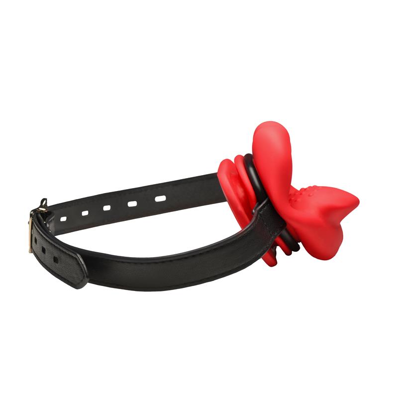 Sissy Mouth Gag with Vibration