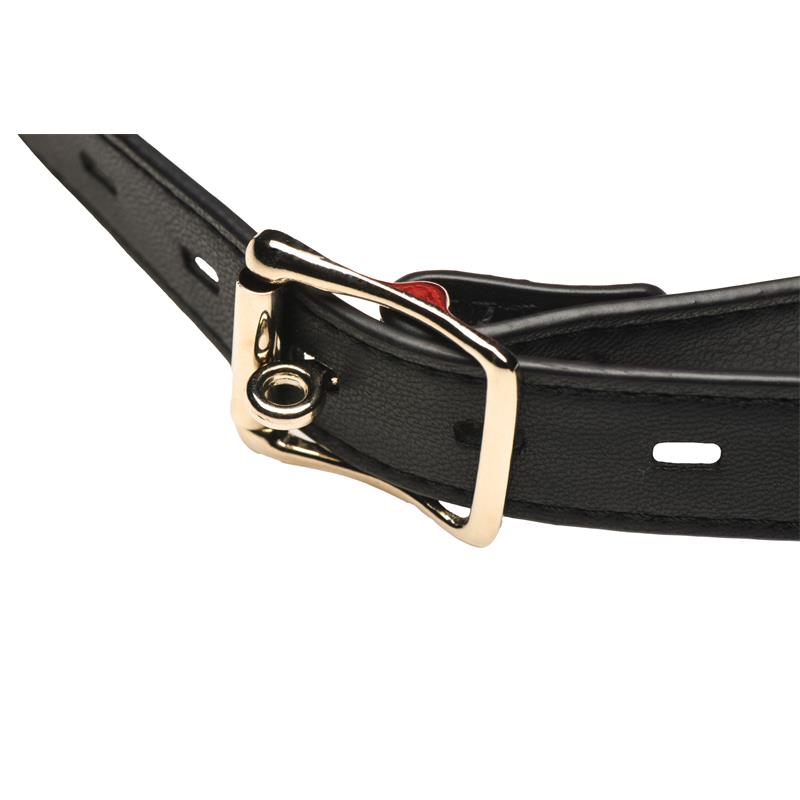 Sissy Mouth Gag with Vibration