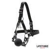 Head Harness with Ball Gag and Nose Hook