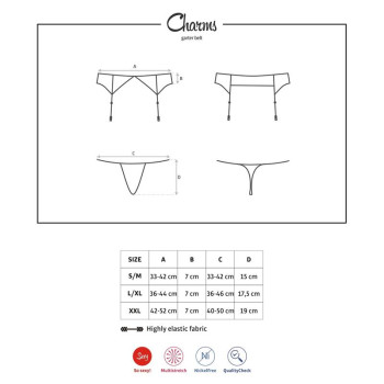 Charms Garter Belt and Thong