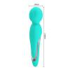 Walter Wand Massager Aqua