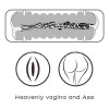 Male Masturbator Virgin-skin Vagina and Anus