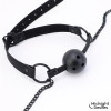 Ball Gag with Nipple Clamps