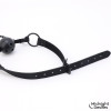 Ball Gag with Nipple Clamps