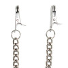 Nipple Clamps Chain