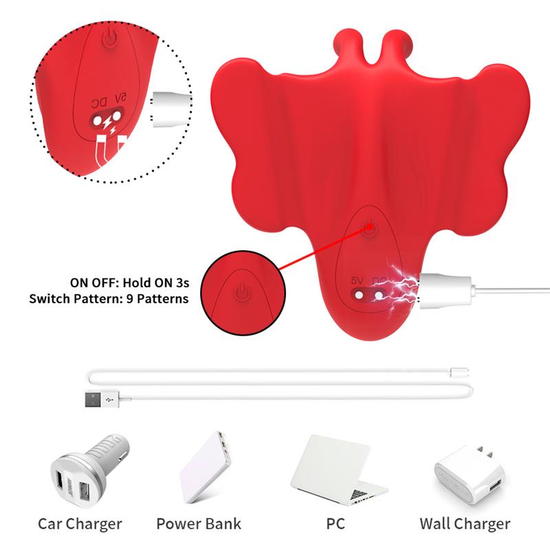 Magnetic Panty Stimulator