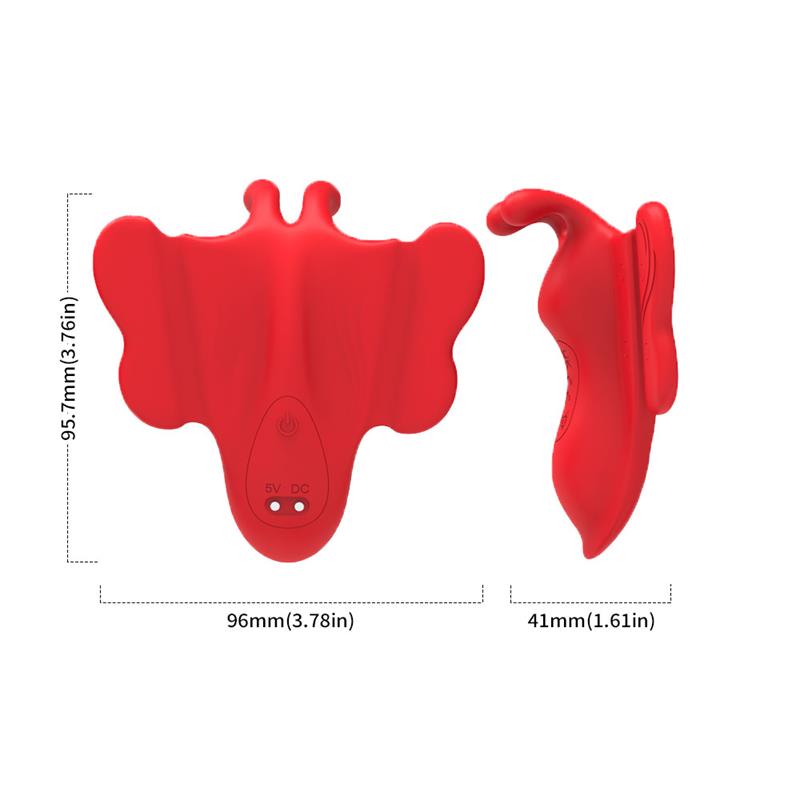 Magnetic Panty Stimulator