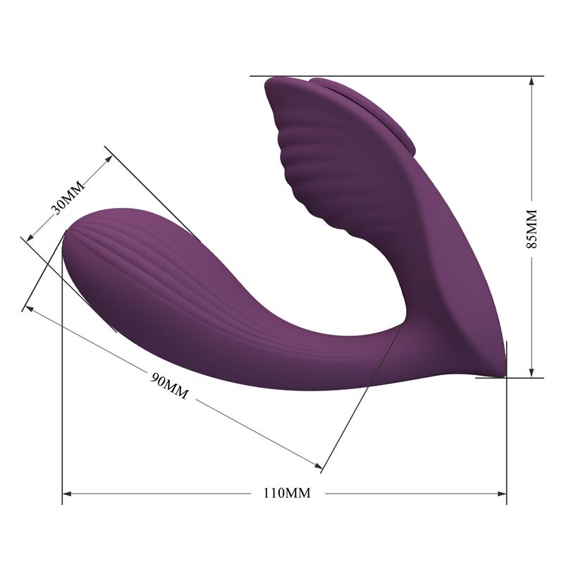 Franz Vibe with Panty Stimulator and App