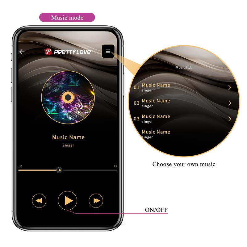 Franz Vibe with Panty Stimulator and App