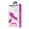 Romario Vibrating Panty Remote Control