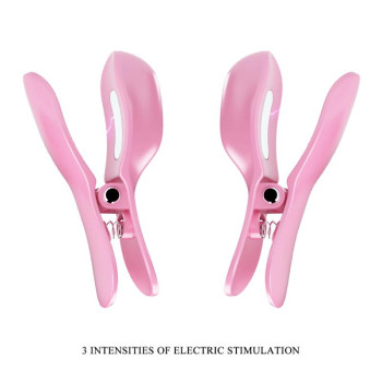 Surprise Box Vibrating Egg and Electric Shock Nipple Clamps Pink