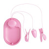 Surprise Box Vibrating Egg and Electric Shock Nipple Clamps Pink