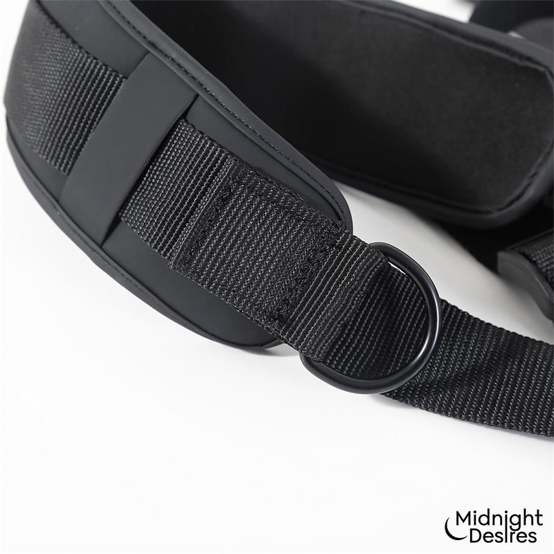 Restraint Set with Neck Suport