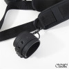 Restraint Set with Neck Support