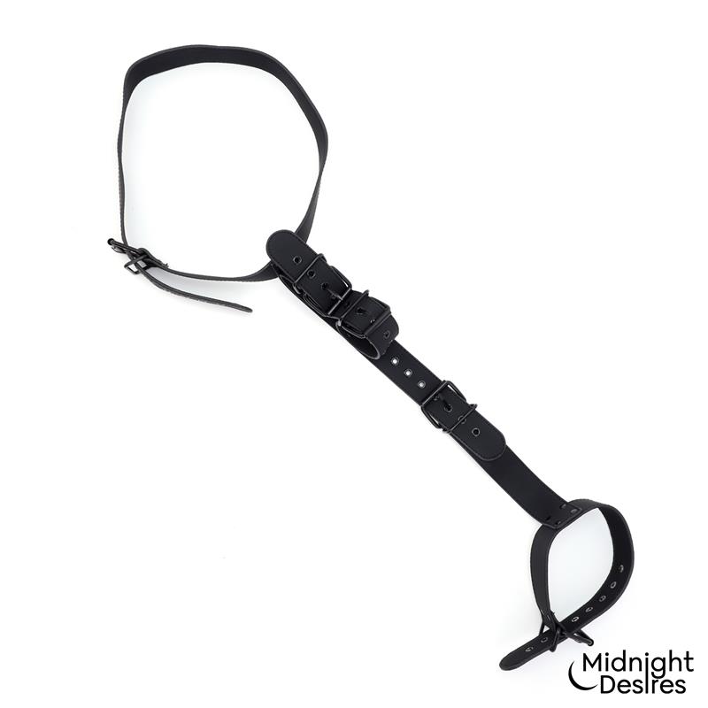 Collar and Wrist Cuffs Body Restraint Set