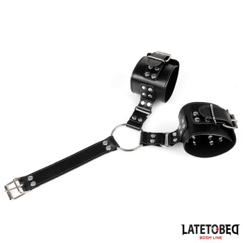 Collar and Wirst Restraints