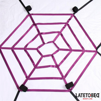 Spider Web Bed Bondage
