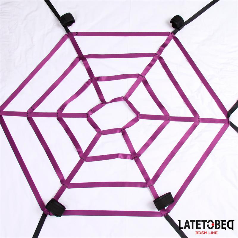 Spider Web Bed Bondage