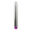 Renee Vibe 10 Vibrating Functions 18,5 cm USB Silver