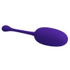 Knucker Vibrating Egg Purple