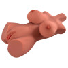 Perfect 10 Torso