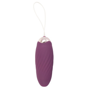 Javida – fjarstýrt egg