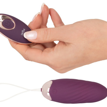 Javida – fjarstýrt egg