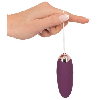 Javida – fjarstýrt egg