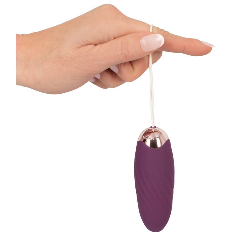 Javida – fjarstýrt egg