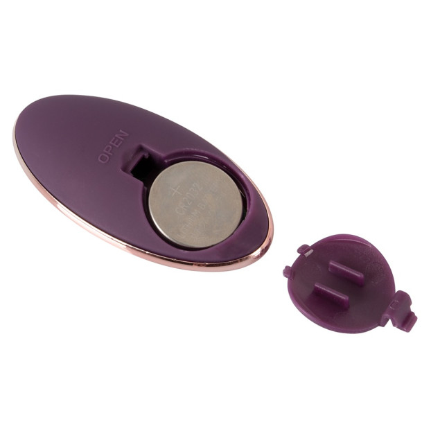 Javida – fjarstýrt egg