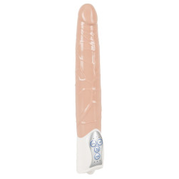 Vibrator "Push it!"