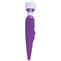 Passion Pointer mini