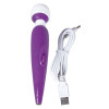 Passion Pointer mini