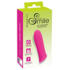 Rechargeable Power Bullet