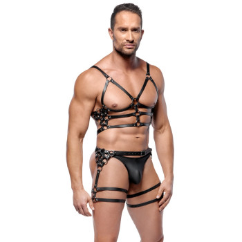 Leather Harness Set