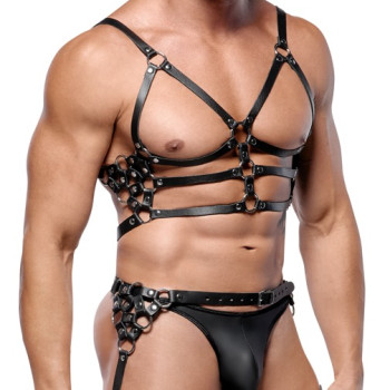 Leather Harness Set